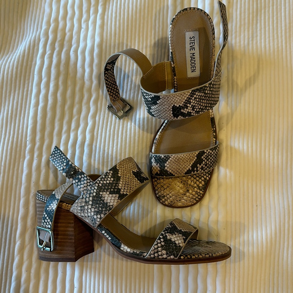 snakeskin heels steve madden